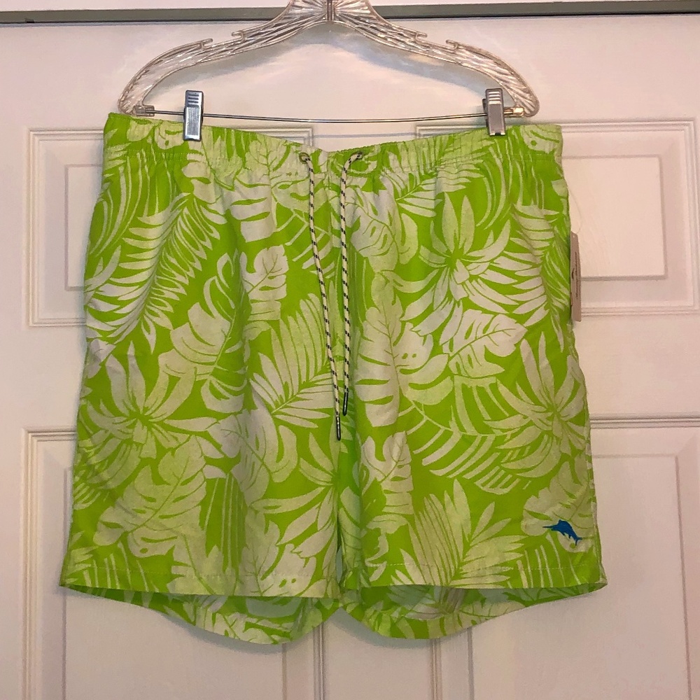 Tommy Bahama Naples Painterly Palm Trunks, 6" XL